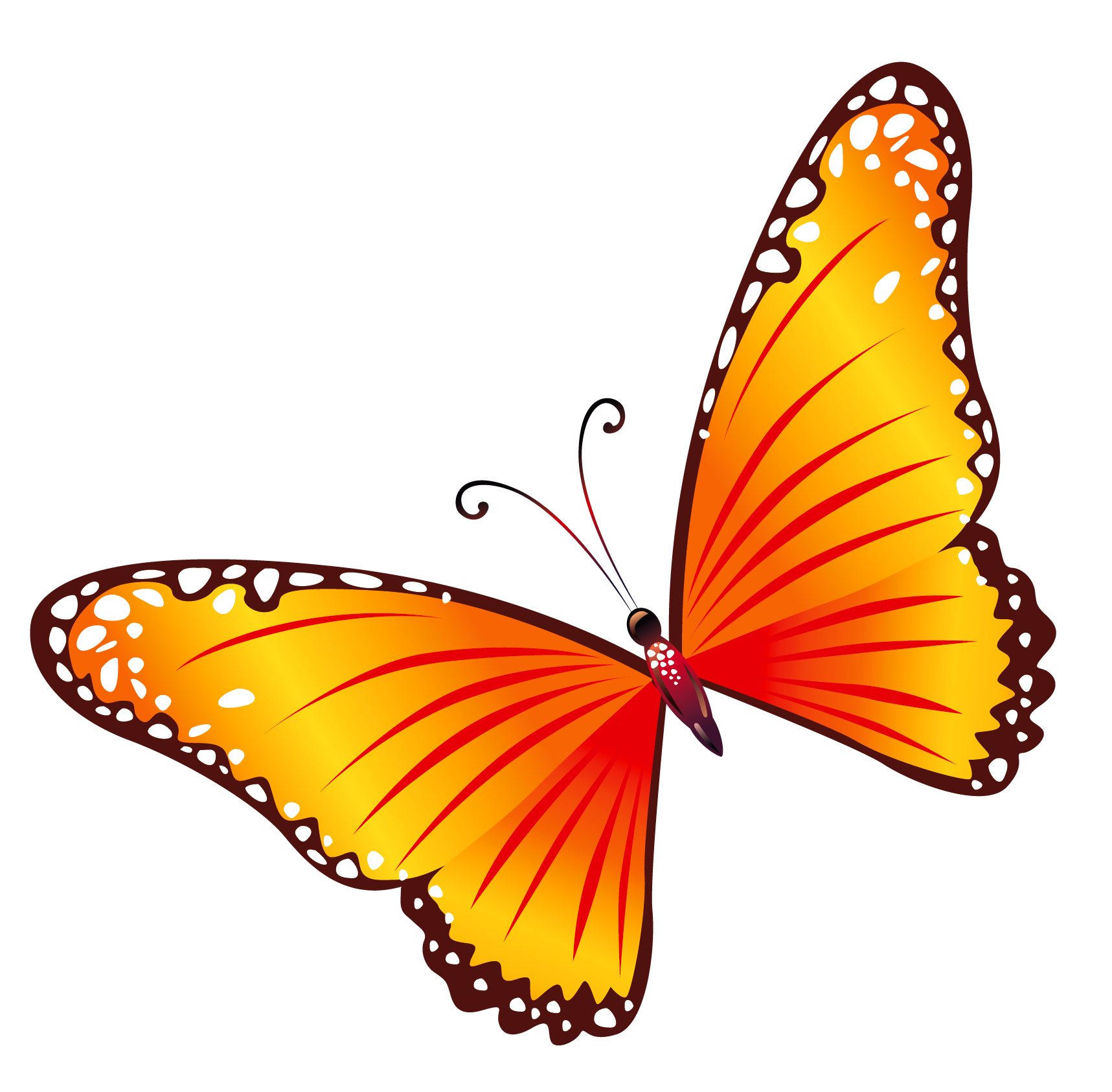 clip art butterfly pictures - photo #44