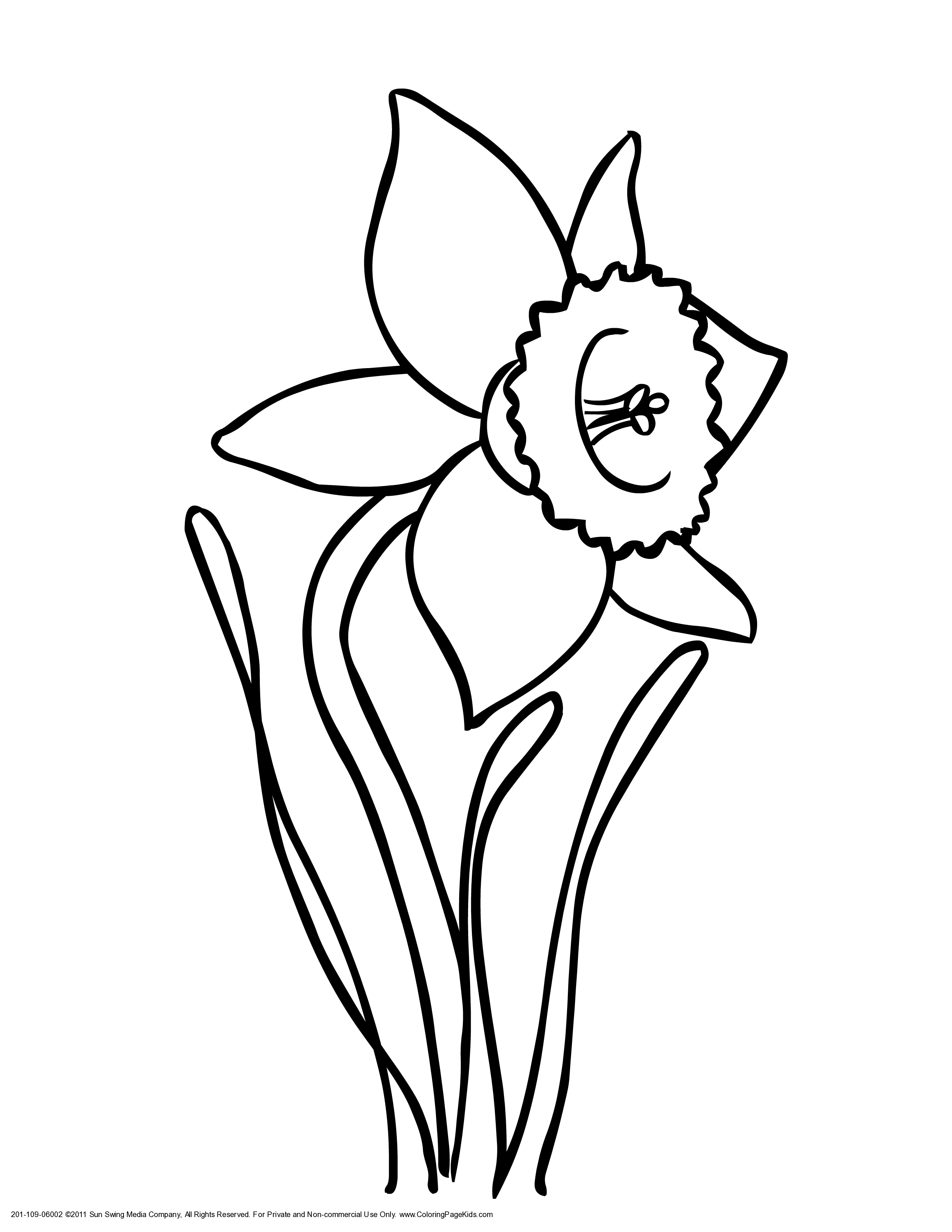 daffodil coloring pages for free - photo #32