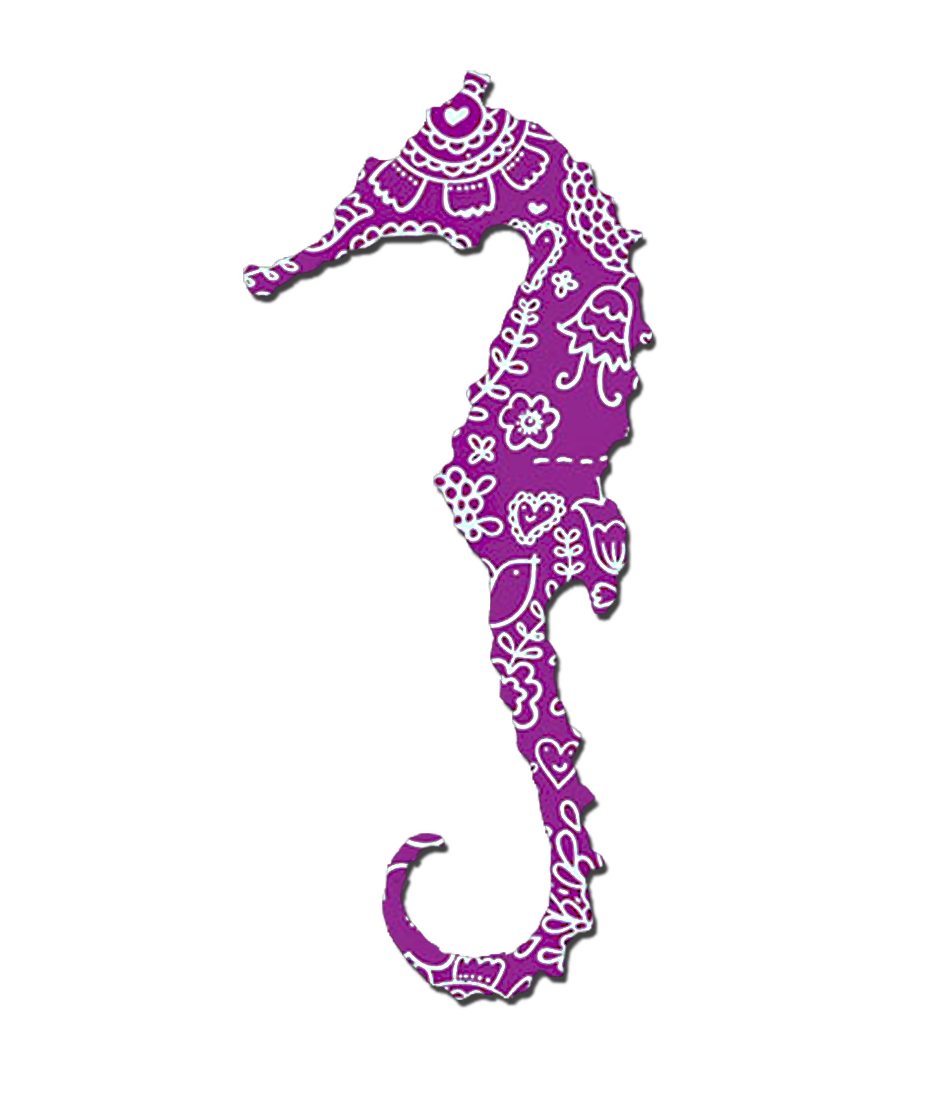 Images For > Cartoon Seahorse