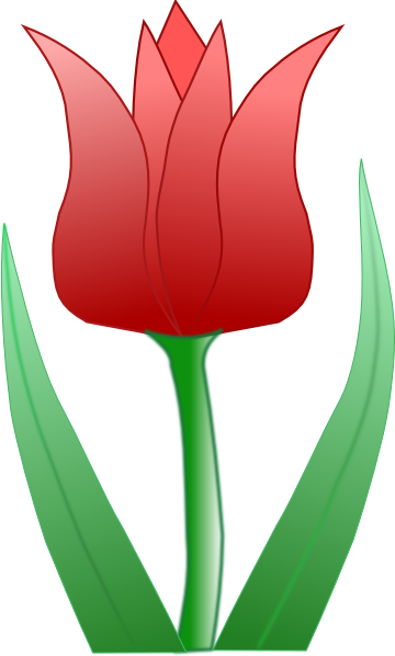 Tulip clip art - vector clip art online, royalty free & public domain