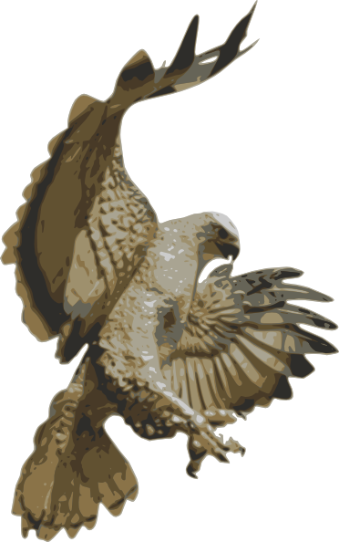 Bird clip art - vector clip art online, royalty free & public domain