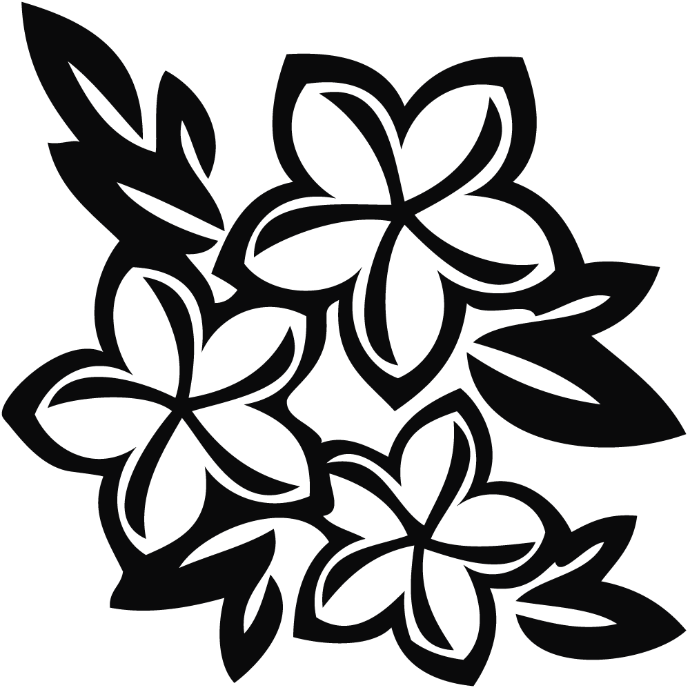 Flowers For > Plumeria Flower Drawing Designs
