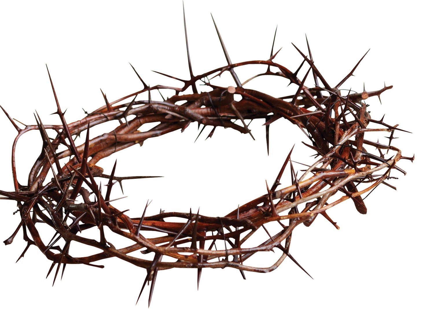 Thorns Free Christian Twitter Background C28com - ClipArt Best ...