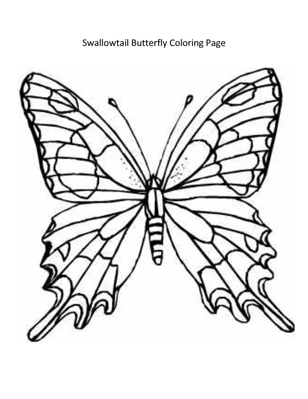 Images For > Butterfly Wing Template