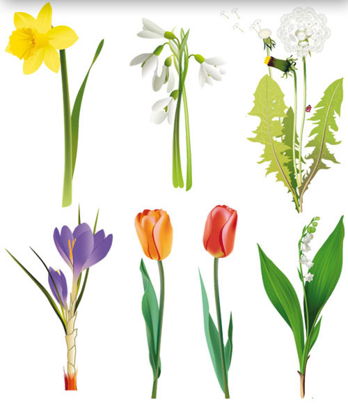 Flowers Vector Clip Art | Free Vector Graphics & Art Design Blog
