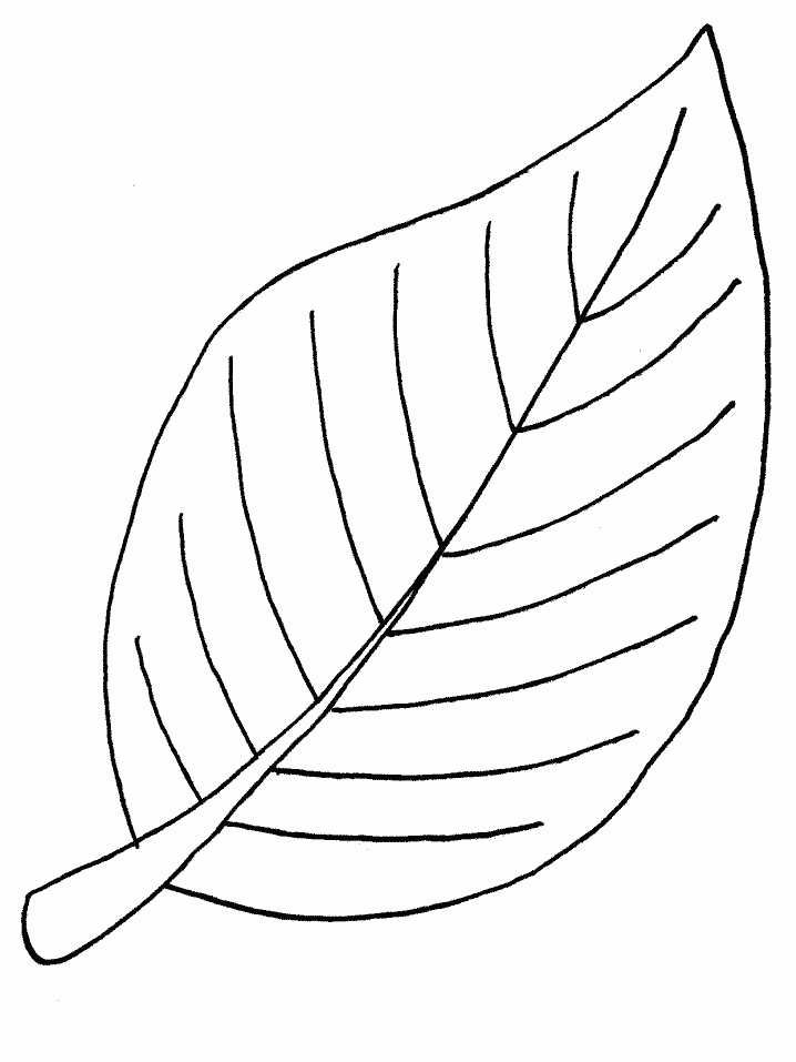 Leaf Drawing Template - ClipArt Best