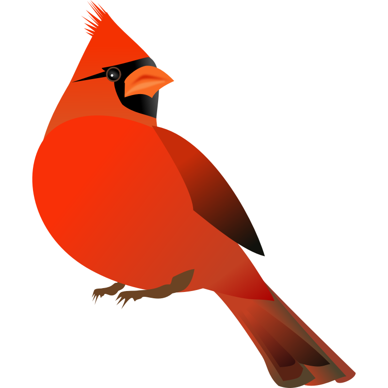 Cartoon Cardinal Bird Cliparts.co