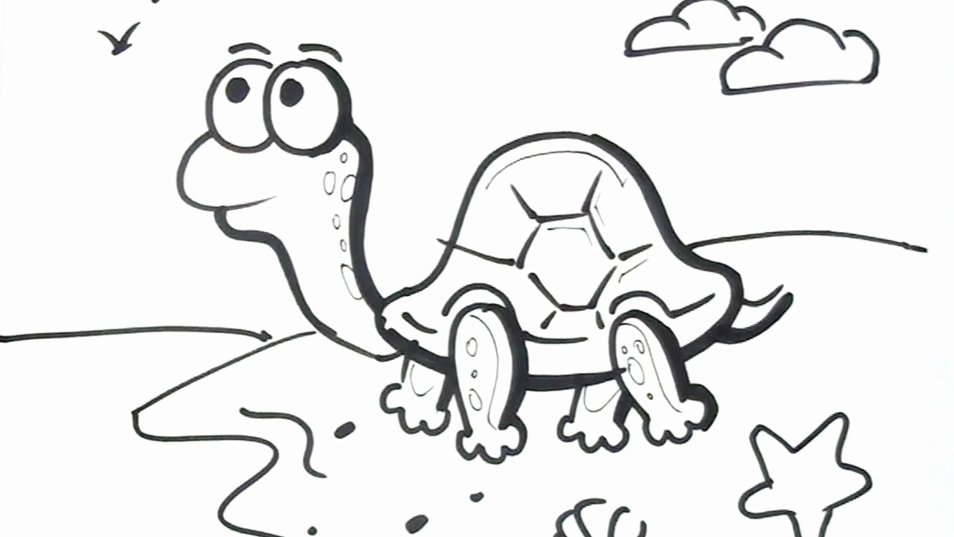 how-to-draw-a-turtle-cartoon-drawing-for-children-easy-step-by