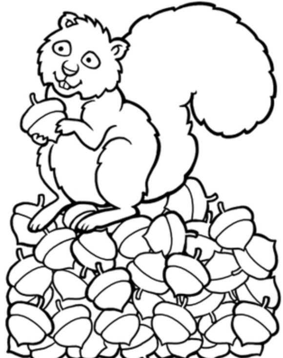 Animal Coloring : Sweet Squirrel Coloring Pages, Animal Coloring