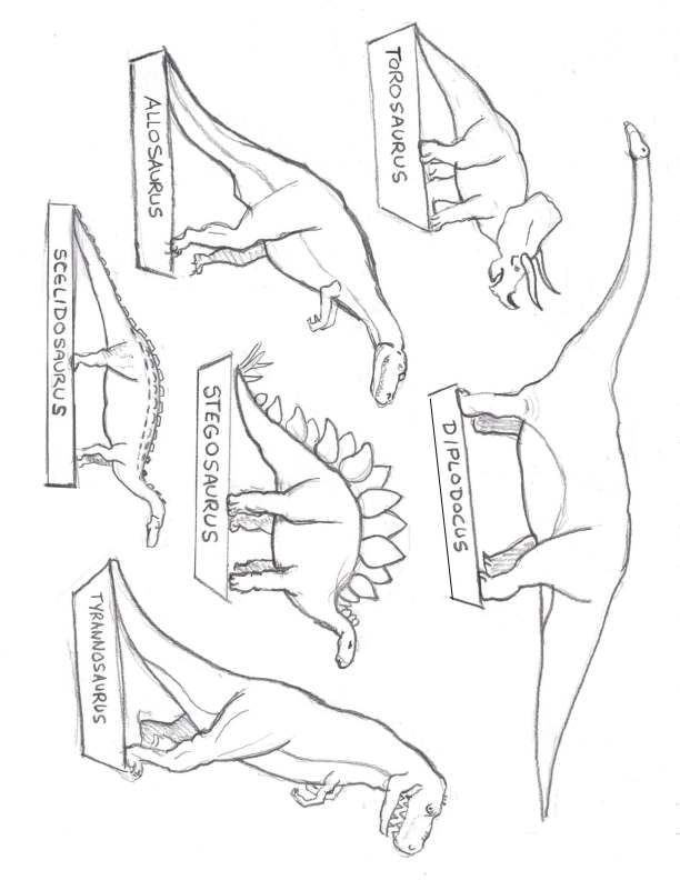 Dinosaur Drawings