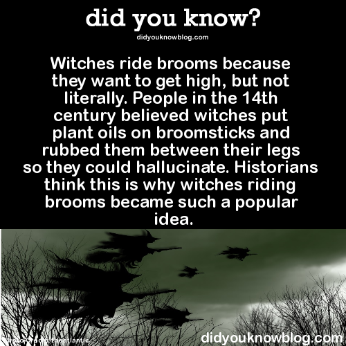 why-do-witches-ride-brooms-the-history-behind-the-legend-elaine