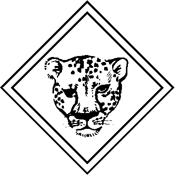 South African Scout clipart - Cub badges