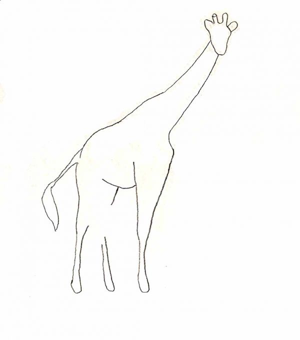 Simple Animal Drawings for Beginners - Traditional-Drawing ...