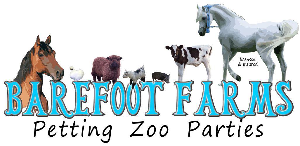 Barefoot Farms and Pony Parties, Palm Beach, Florida | Wix.com