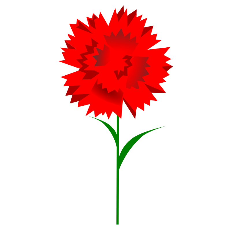 Clipart - Carnation - Cliparts.co