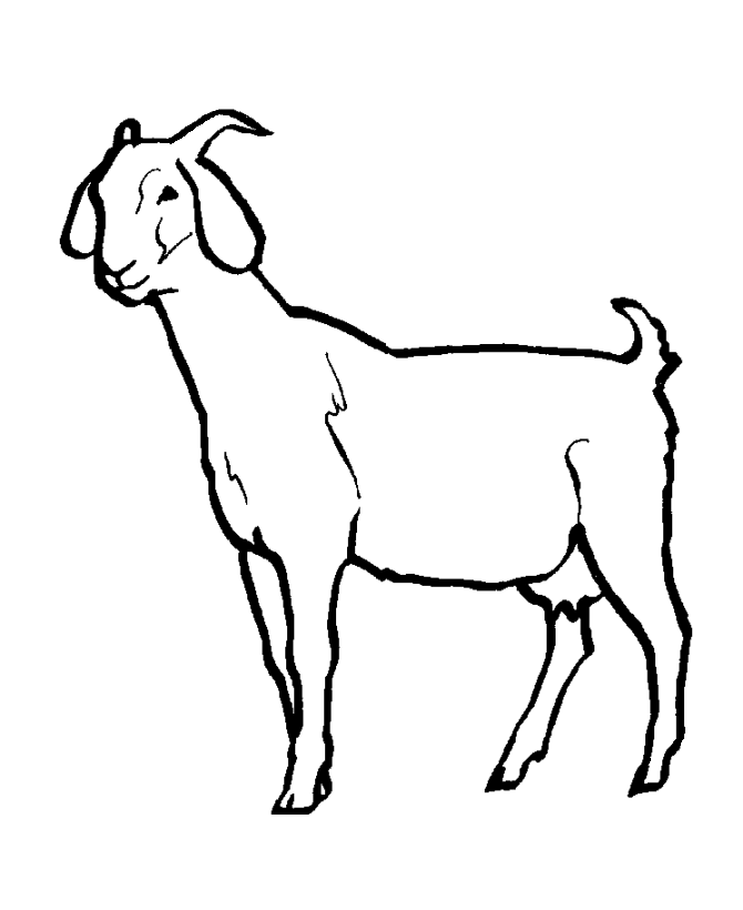 Female goat Coloring Pages | Goat Coloring Page and Kids Activity ...