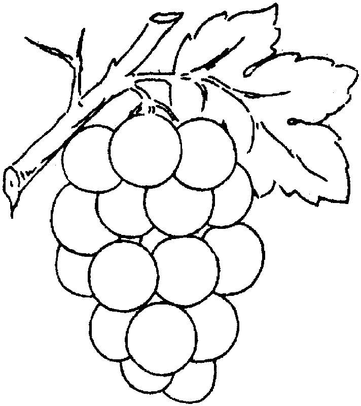 free clipart grapes black and white - photo #11