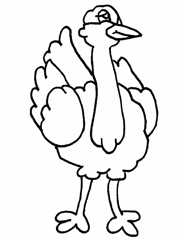 ostrich -Coloring Pictures