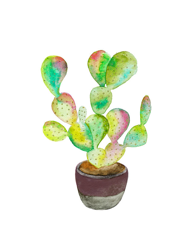 Popular items for cactus print on Etsy
