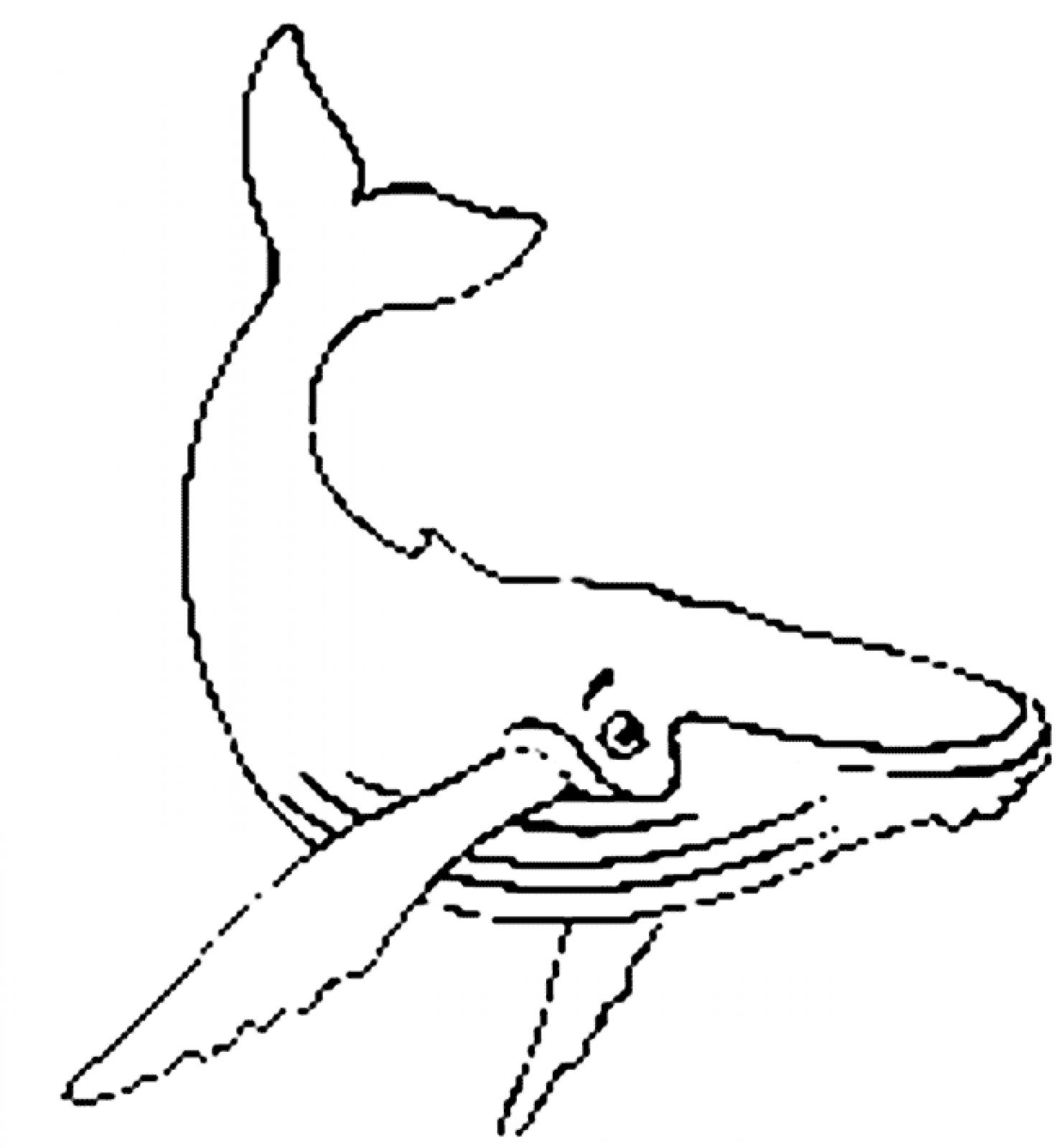 Images For > Humpback Whale Cartoon Cute