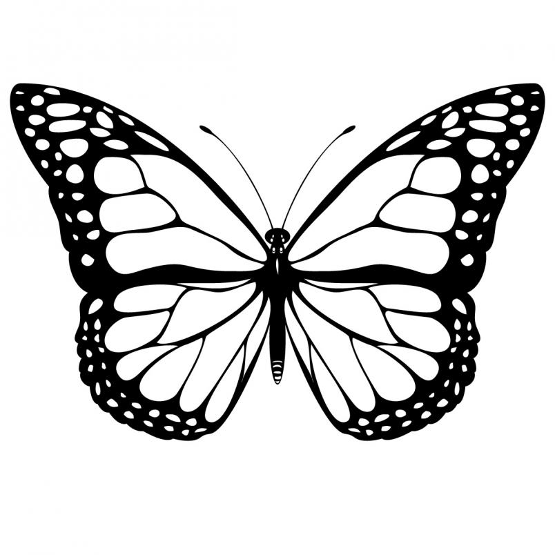 Butterfly Monarch -Clipart Pictures