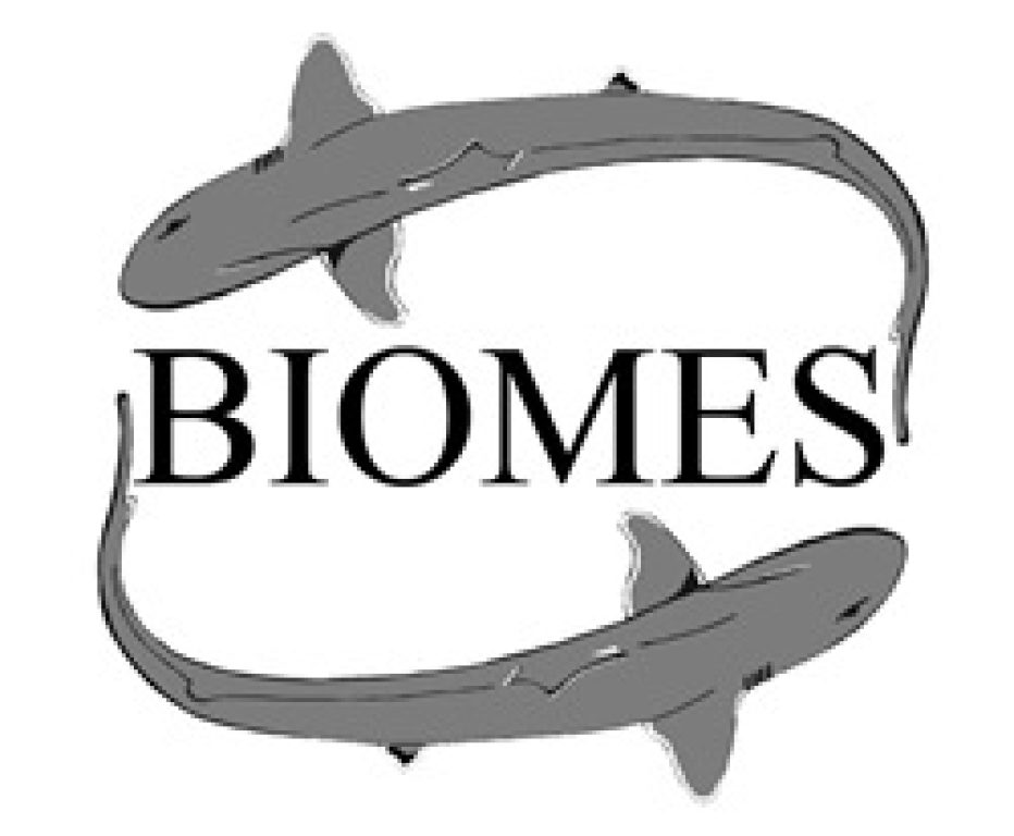 Tiverton Library Children's Summer Event: Biomes Marine Biology ...