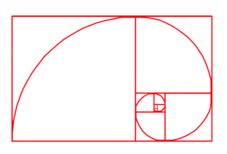 Mathematical Patterns in Plants: Fibonacci and The Golden Ratio ...