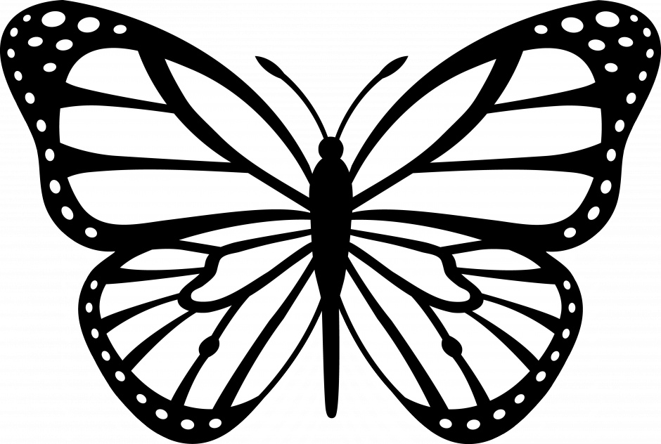 Coloring Pictures Of Flowers And Butterflies Images Of Butterfly ...