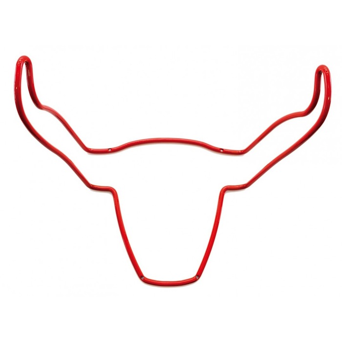 Pix For > Bull Horns
