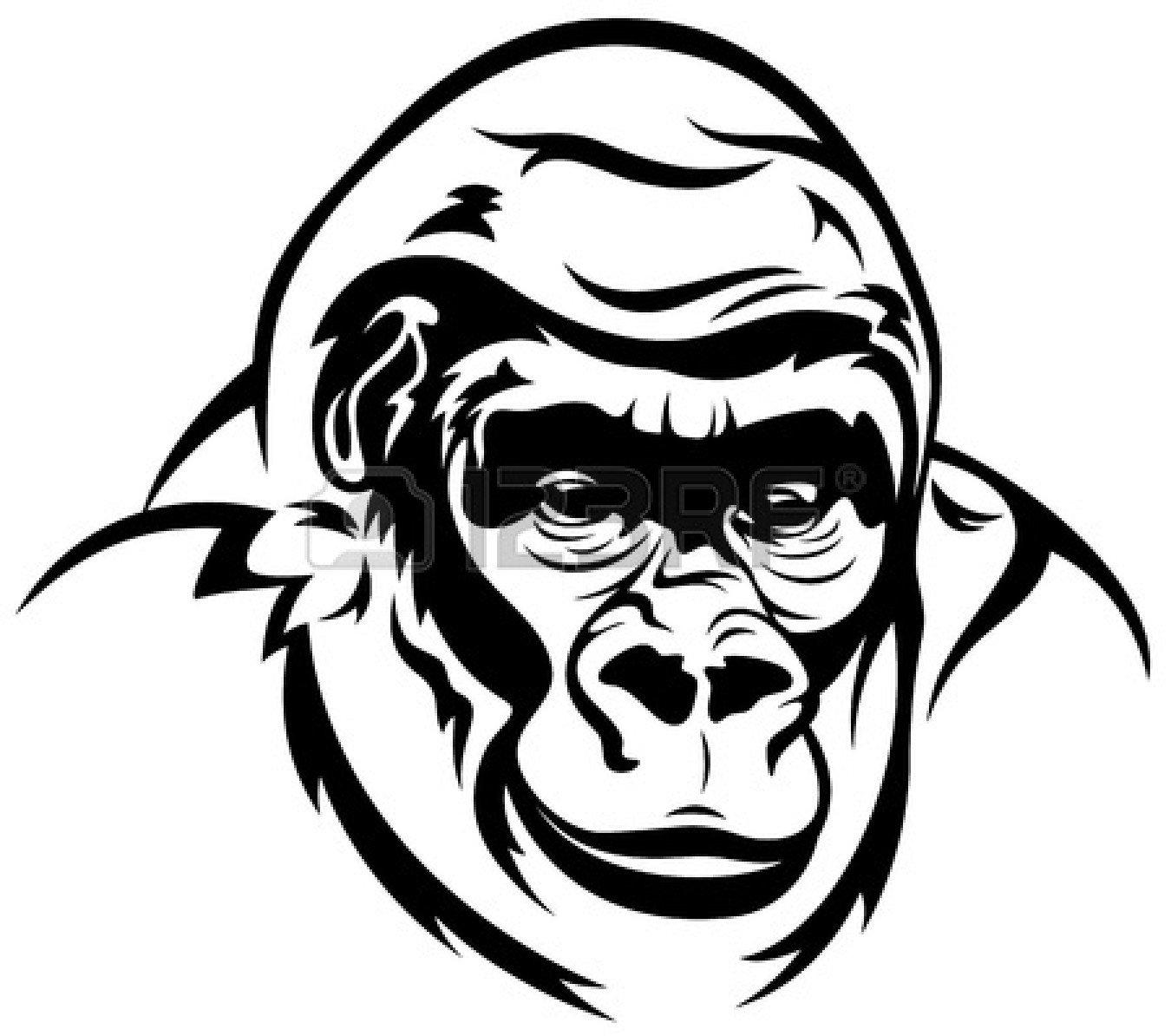 Images For > Angry Gorilla Face Clip Art