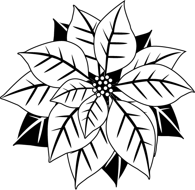 free black and white poinsettia clipart - photo #1