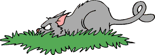 Cat Hunting In Grass Clip Art Download