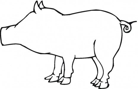 A Pig Outline coloring page | Super Coloring - ClipArt Best ...