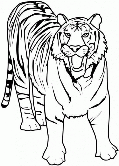 page | coloring pages for kids, coloring pages for kids boys ...