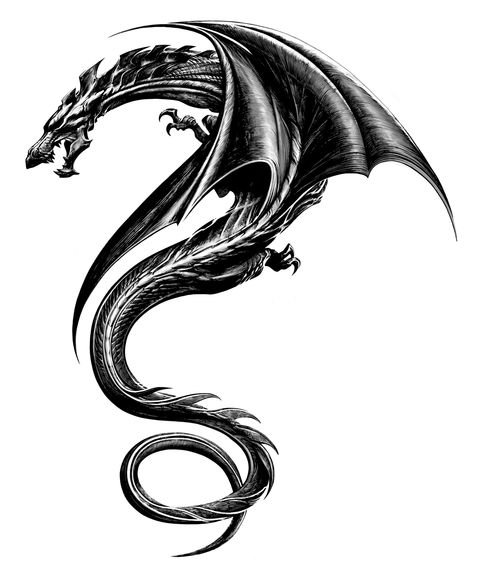 The Girl with the Dragon Tattoo: Tattoo Design 2 - graphic art ...