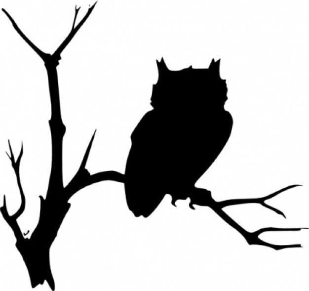Clip art owl clip art with branch background about TinEye Creative ...