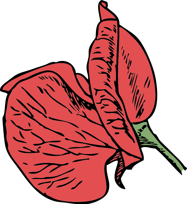 Sweet Pea Flower Clip Art