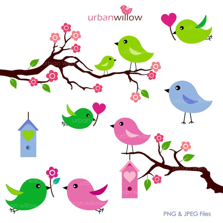 LOVE BIRDS (Apple green) - 6 piece clip art set. For commercial and p…