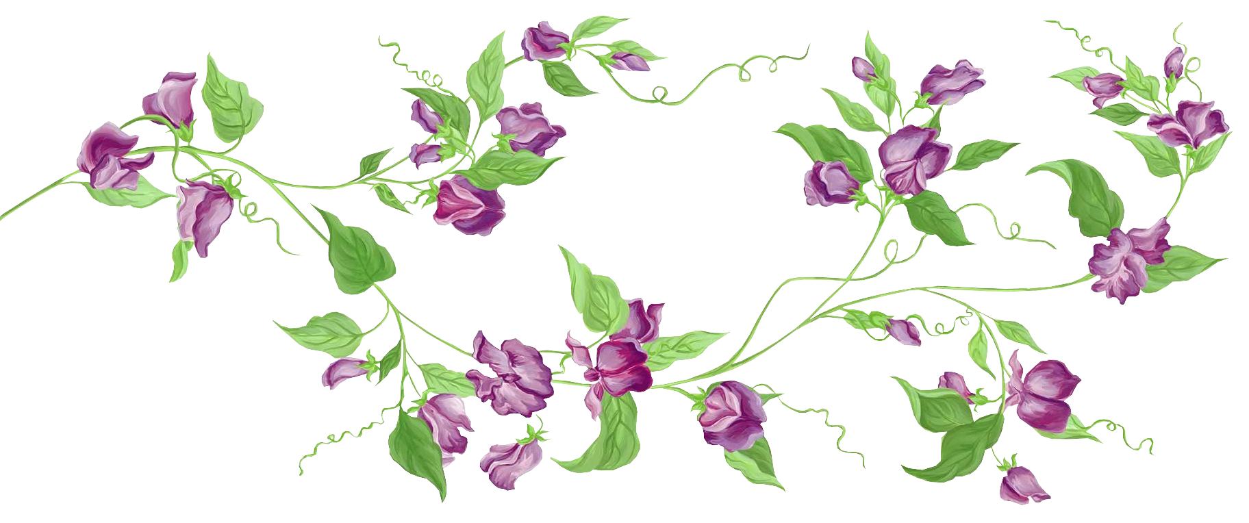 Purple Floral Decor PNG Transparent Clipart