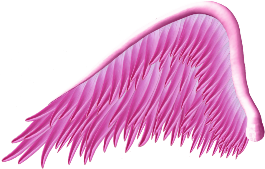 Pink Angel Wing PNG by Thy-Darkest-Hour on DeviantArt