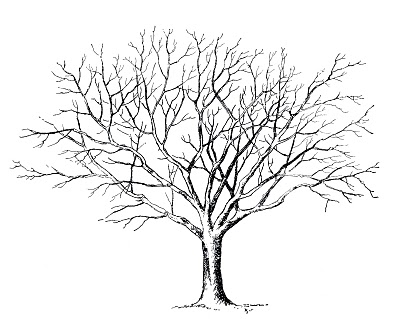 Starrs World — Black n white & fall trees
