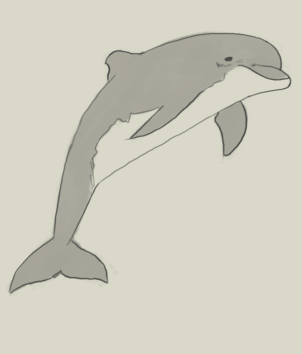 How to draw dolphin | drawing and digital painting tutorials online