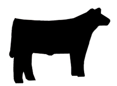Show Steer Silhouette Clipart - Free Clipart