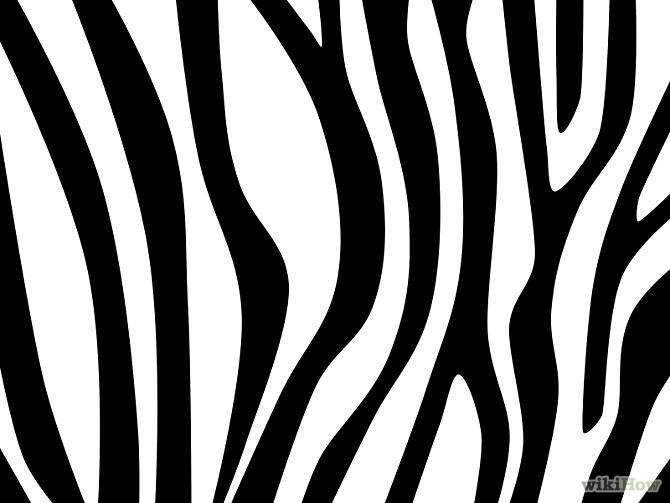 How to Draw Zebra Stripes: 14 Steps (with Pictures) - wikiHow