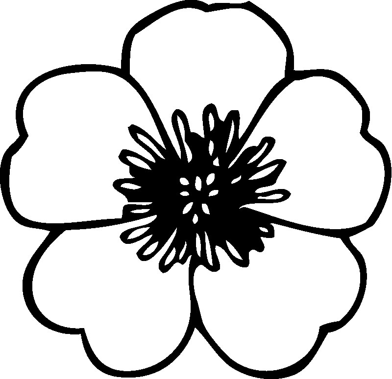 Flower Template For Preschool - AZ Coloring Pages