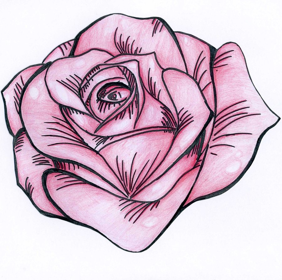 Simple Pink Rose Drawing - Gallery