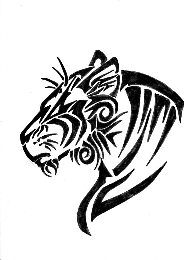 tiger eyes clip art - photo #29
