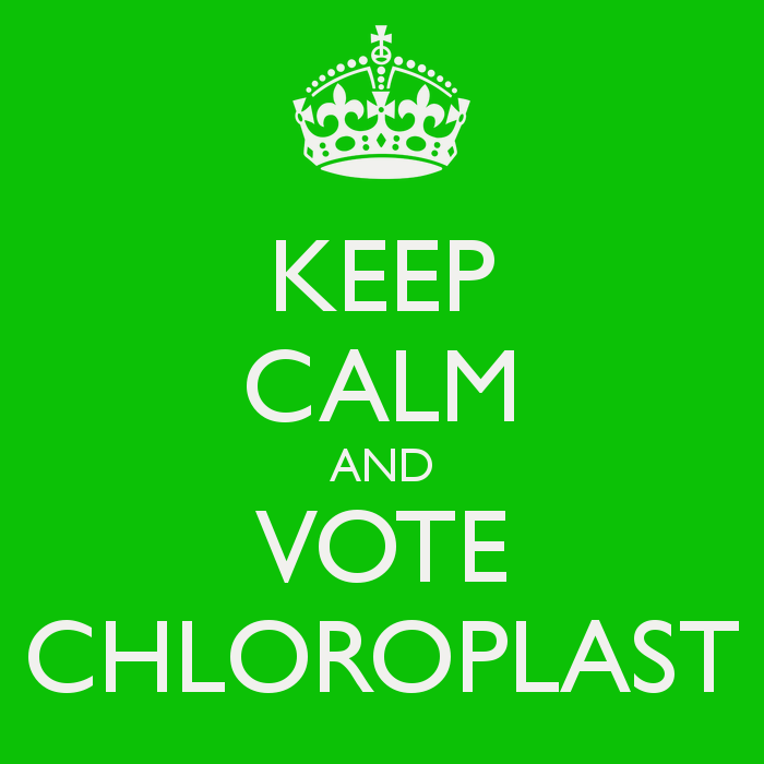 KEEP CALM AND VOTE CHLOROPLAST - KEEP CALM AND CARRY ON Image ...