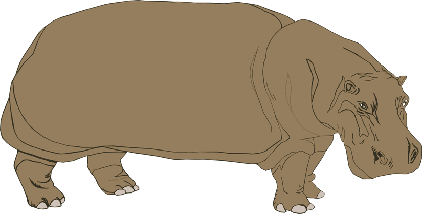 Hippopotamus Clipart - ClipArt Best