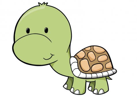 Cartoon Baby Turtles - ClipArt Best